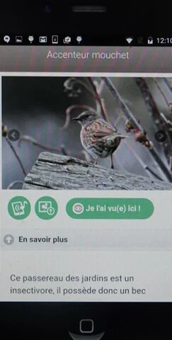 Eleveurs en Ventoux